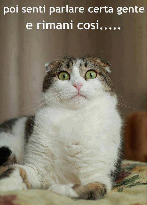 NUN C'HO PAROLE !! - 16/05/2013