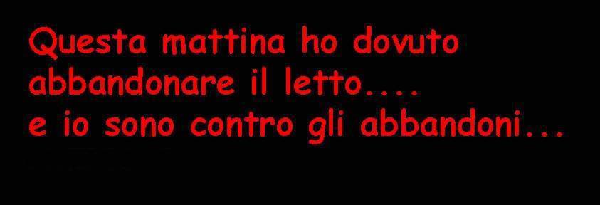 Immagine Divertente - 20/05/2013