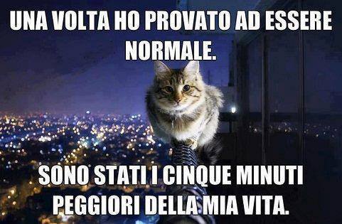 NUN LO FACCIO PIU' !! - 11/07/2013