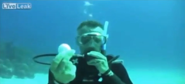 ECCO COSA SUCCEDE SE SI ROMPE UN UOVO A 20 METRI SOTT'ACQUA - GUARDA IL VIDEO - 15/07/2013