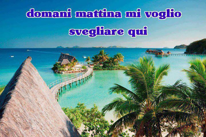 Immagine Divertente - 18/07/2013