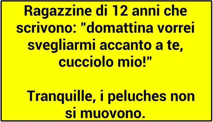 Immagine Divertente - 28/07/2013