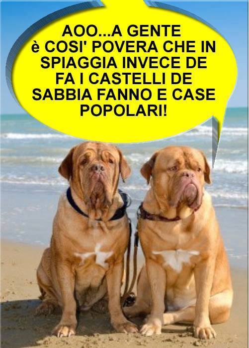 COME SE SEMO RIDOTTI !! - 19/09/2013