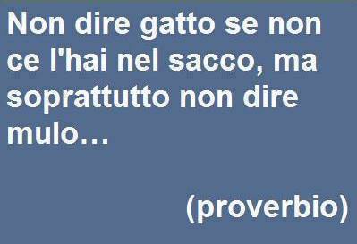 Immagine Divertente - 19/09/2013