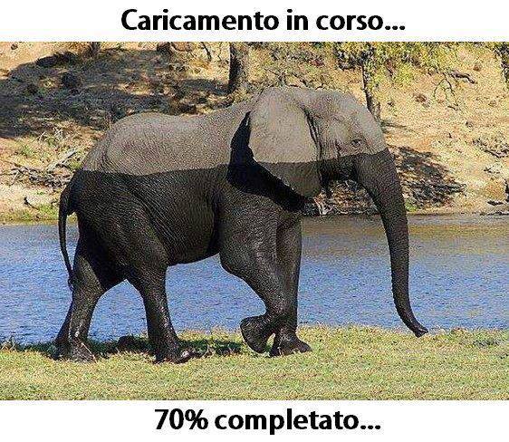 Immagine Divertente - 19/09/2013