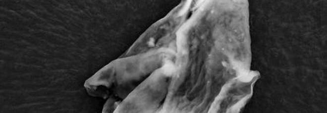 ''GLI ALIENI SONO NELLE NUVOLE'': TRACCE TROVATE NELL'ATMOSFERA - FOTO ALL'INTERNO - 21/09/2013
