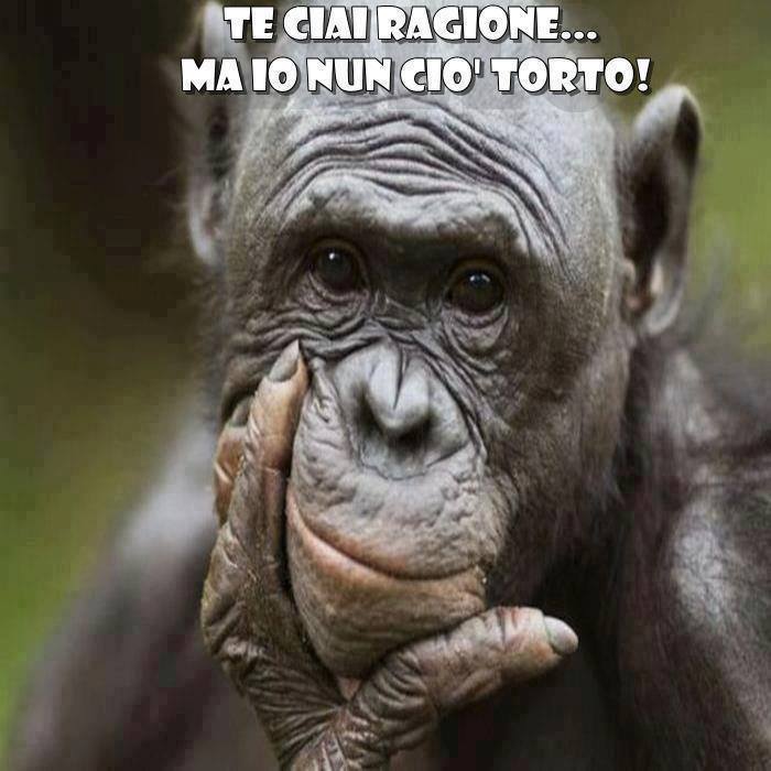 Immagine Divertente - 02/10/2013