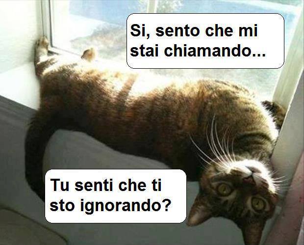 Immagine Divertente - 02/10/2013