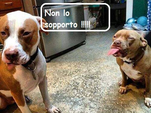 NUN LO SOPPORTO !! - 02/10/2013