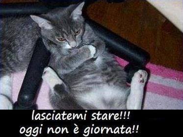 Immagine Divertente - 02/10/2013