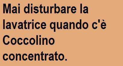 Immagine Divertente - 02/10/2013