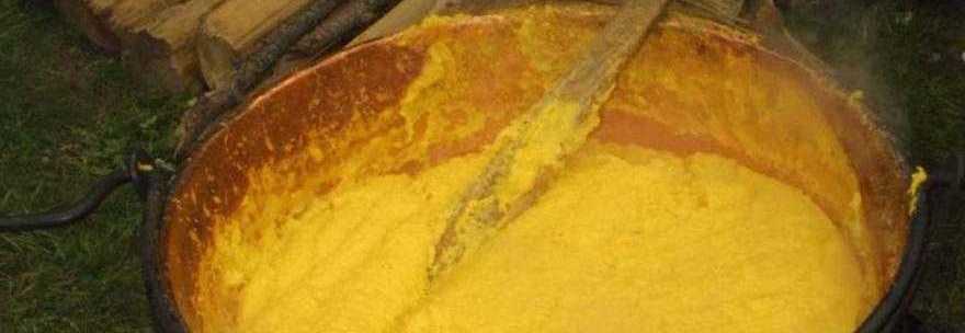 ''La polenta può essere un alimento tossico'', ecco l'allarme choc - 13/10/2013