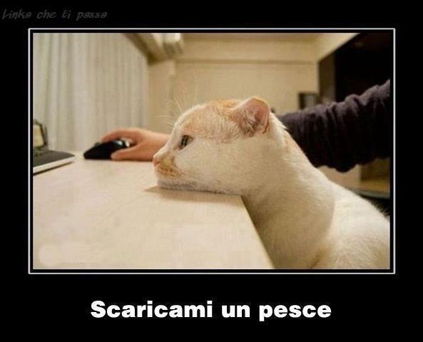 ALMENO TE RENDI UTILE !! - 22/10/2012