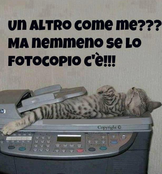 NUN CE NE SO' !! - 22/10/2012
