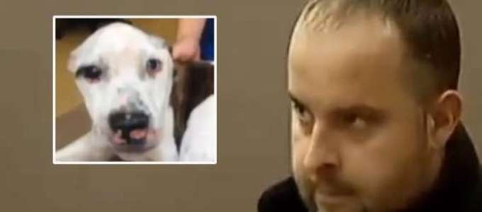 TORTURA A MORTE IL SUO CANE, SENTENZA STORICA: CONDANNATO A 55 ANNI DI CARCERE - 13/12/2013