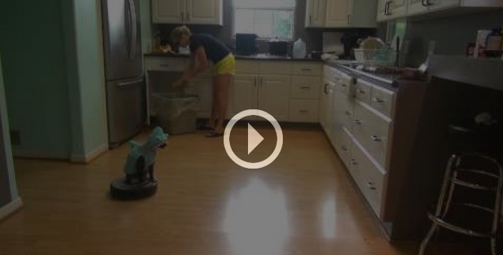 IL GATTO-SQUALO CHE PULISCE TUTTA LA CUCINA - VIDEO - 18/12/2013
