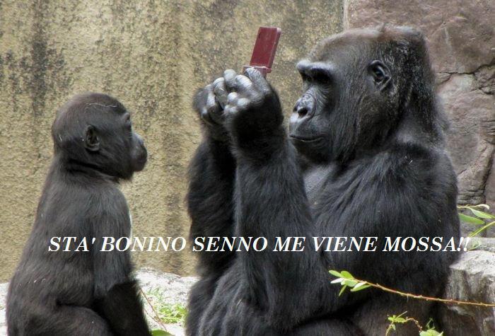 SEMO TUTTI UGUALI !! - 24/10/2012