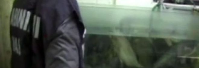 MAXI BLITZ DEI NAS, CONTROLLI SU TUTTA ITALIA: SEQUESTRATI CIBI SCADUTI E SBIANCANTE PER PESCI - 22/12/2013