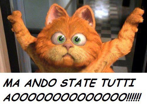 NDO STATE ?! - 24/10/2012