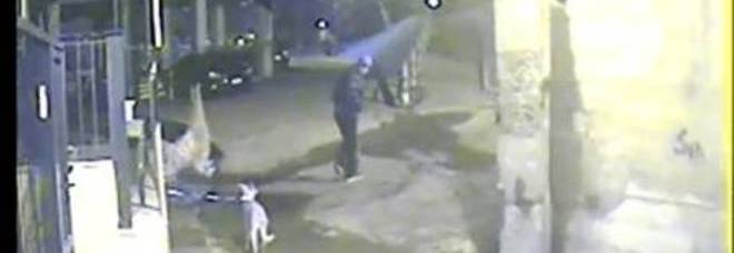 ABBANDONA IL CANE SOTTO LA PIOGGIA: LE VIDEOCAMERE RIPRENDONO LA SCENA - VIDEO - 25/12/2013