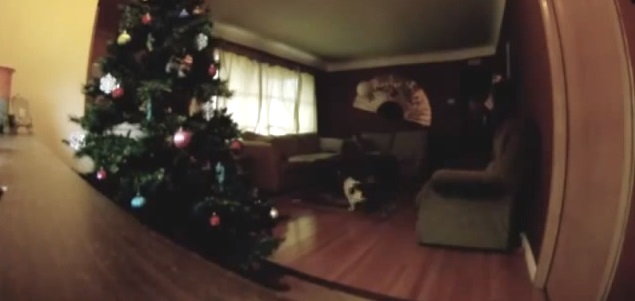 CANE DISTRUGGE L'ALBERO DI NATALE - VIDEO - 28/12/2013