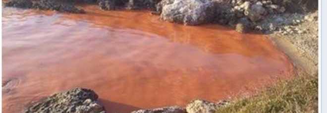 TARANTO, IL MARE È ROSSO: PAURA INQUINAMENTO. MA LA CAPITANERIA SMENTISCE: ''COLPA DELLE ALGHE'' - 03/01/2014