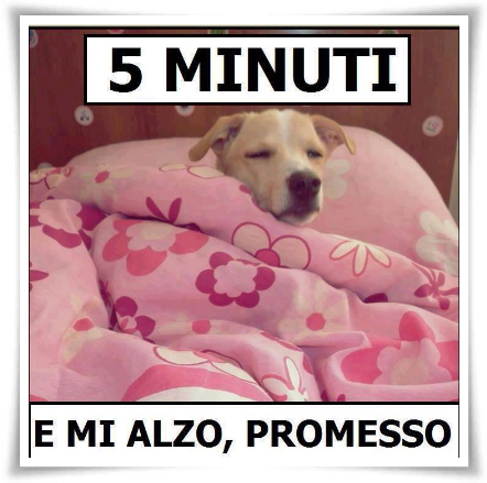 ADESSO ME ALZO !! - 13/01/2013