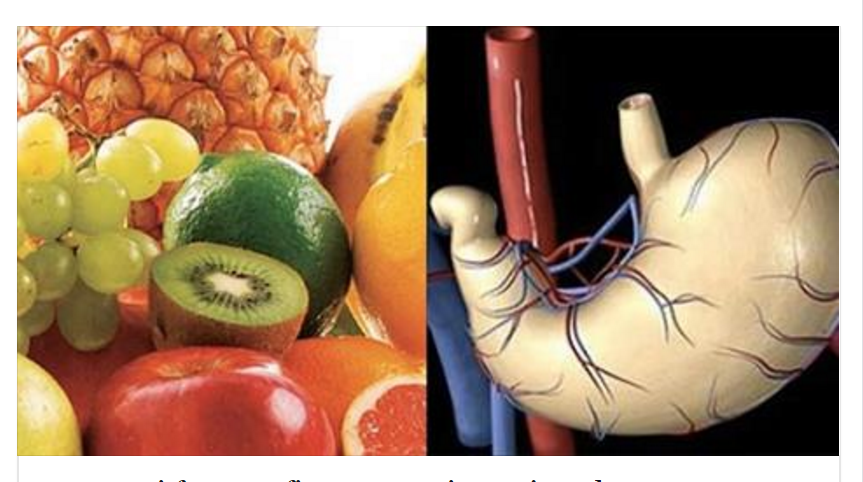 SE MANGI FRUTTA A FINE PASTO, TI CONVIENE LEGGERE QUESTO - ECCO COSA SUCCEDE AL NOSTRO ORGANISMO - 06/12/2015