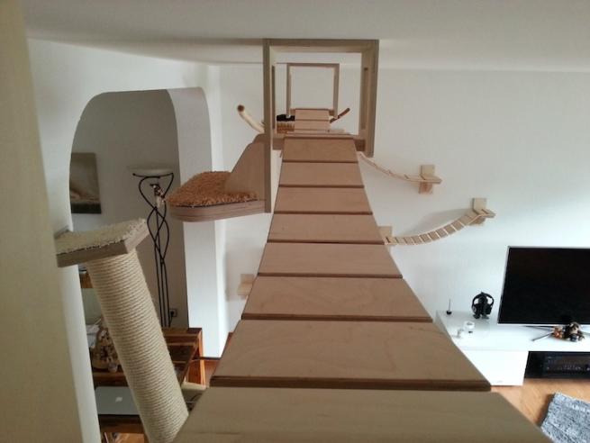 UN PARCO GIOCHI PER GATTI SUL SOFFITTO DI CASA - FOTO ALL'INTERNO - 23/01/2014