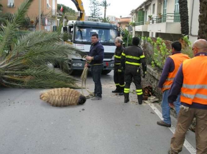 ''UNA LARVA GIGANTE NITRISCE NELLA TERRA DEI FUOCHI''. E LA BUFALA DIVENTA VIRALE - FOTO - 23/01/2014