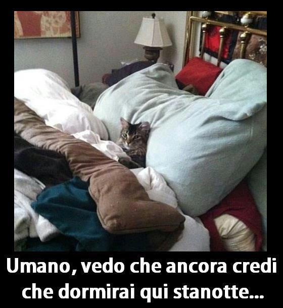NUN TE PREOCCUPA' !! - 26/10/2012