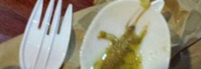 TROVA UNO SCARAFAGGIO GIGANTE NELLA ZUPPA. IL DIRETTORE DEL RISTORANTE: ''MA NON È NULLA...'' - 17/03/2014