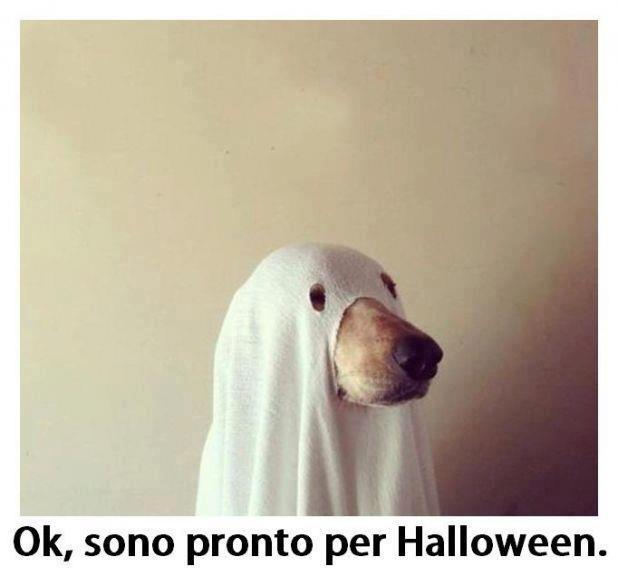 SO' PERFETTO !! - 28/10/2012