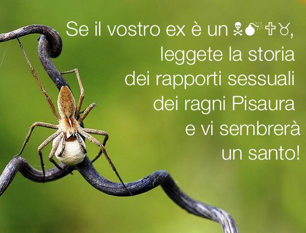 SESSO TRA RAGNI: MASCHI CINICI E FEMMINE AVIDE - 26/03/2014
