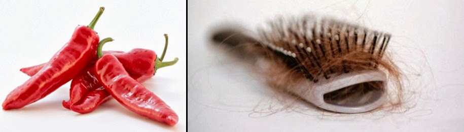 IL PEPERONCINO COME RIMEDIO NATURALE PER ARRESTARE LA CADUTA DEI CAPELLI - 11/04/2014