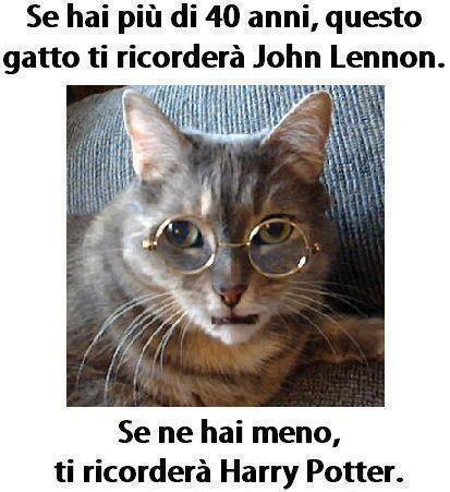 DIPENNE !! - 28/10/2012