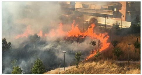 ROMA - INCENDIO NEL PARCO, LE FIAMME ARRIVANO ALLE CASE: PAURA E RESIDENTI EVACUATI - 19/07/2017