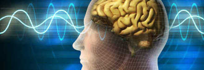 SCOPERTO IL MECCANISMO 'ANTI-DISTRAZIONE': RIESCE A TENERE CONCENTRATO IL CERVELLO - 15/05/2014