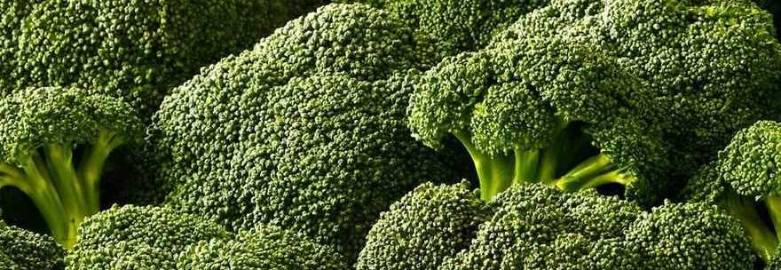 BROCCOLI, GLI OTTO EFFETTI BENEFICI CHE HANNO SULLA NOSTRA SALUTE - 16/06/2014