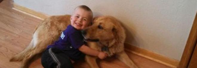 TRE ANNI, SI ALLONTANA DA CASA E SI PERDE: IL SUO CANE COOPER LO RITROVA IN PIENA NOTTE - 22/06/2014
