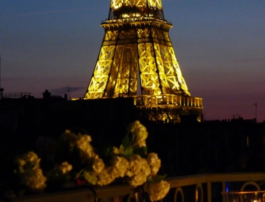 IL SOGNO DI OGNI DONNA? FARLO SULLA TORRE EIFFEL - 28/06/2014
