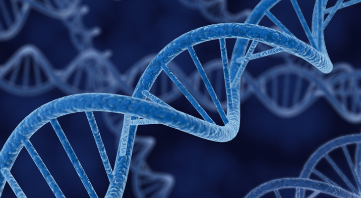 SCOPERTA SUI TUMORI DEL SANGUE: UN GENE ELIMINA LE CELLULE MALATE - 30/06/2014