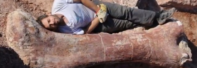 IL DINOSAURO PIÙ GRANDE DEL MONDO SCOPERTO IN PATAGONIA: È LUNGO 40 METRI - 08/07/2014