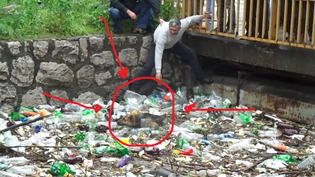 SALVA UN CANE DA MORTE CERTA, PER FORTUNA CI SONO QUESTE PERSONE - VIDEO VIRALE - 20/05/2014