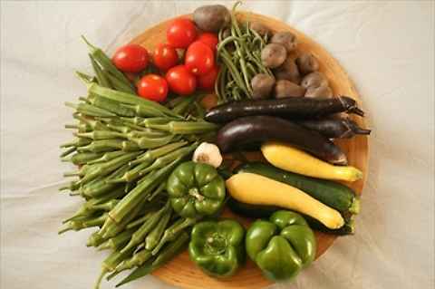 VEGANO DA UNA VITA, CONVERTITO DA UNA POLPETTA - 17/07/2014