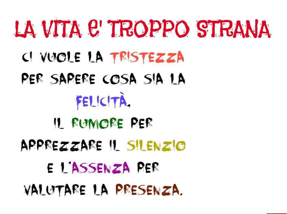 'A VITA E' STRANA !! - 02/11/2012
