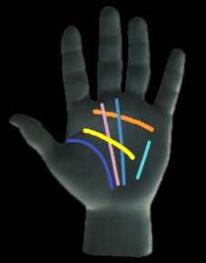 IL SIGNIFICATO DELLE ''LINEE DELLA VITA'' SUL PALMO DELLA MANO - GUARDA LE TUE - 26/06/2014