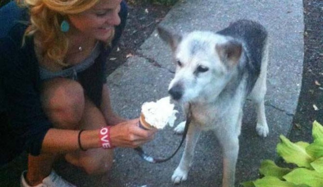 DIRE ADDIO AL PROPRIO AMICO A 4 ZAMPE E' DURISSIMA. QUESTA RAGAZZA L'HA SALUTATO IN MODO UNICO - IMMAGINI COMMOVENTI - 08/07/2014
