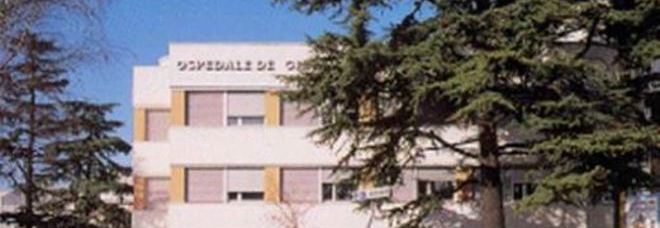 TROPPO GRASSO PER FARE LA RISONANZA: ''VADA DAL VETERINARIO ATTREZZATO PER I GROSSI ANIMALI'' - 10/07/2014
