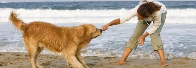 VUOI DIMOSTRARE 10 ANNI DI MENO? MEGLIO PRENDERE UN CANE - 30/09/2014